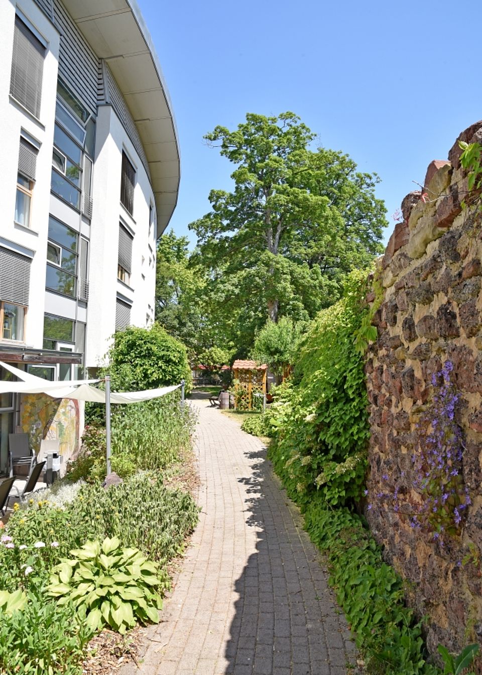 Das Bild zeigt einen schmalen Weg aus Stein-Platten. Rechts ist eine hohe Mauer aus braunen Steinen mit grünen Pflanzen. Links steht ein modernes, weißes Haus mit vielen Fenstern. Am Weg wachsen viele Blumen und grüne Büsche. Im Hintergrund sieht man große, grüne Bäume und einen blauen Himmel. Alles sieht sehr gepflegt und ruhig aus.