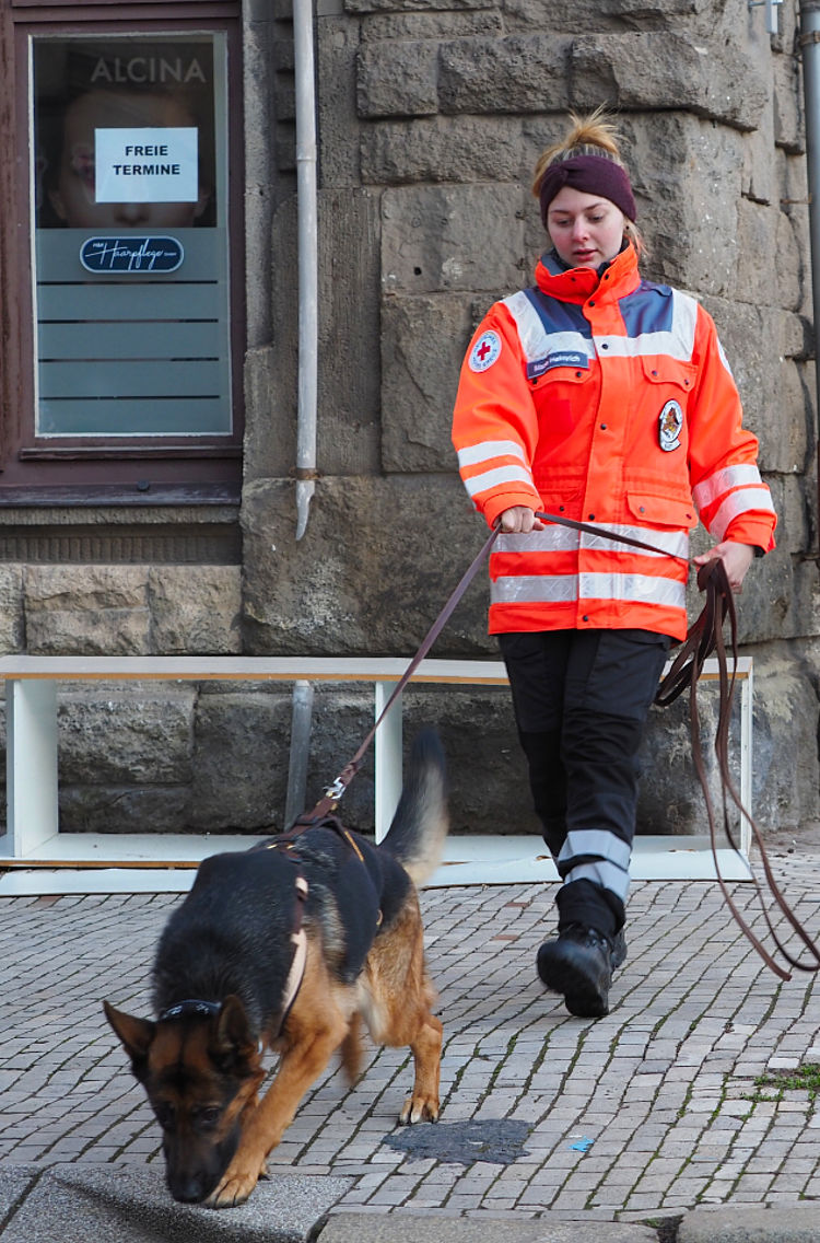 Eine Rettungshundeführerin des Deutschen Roten Kreuzes führt einen Deutschen Schäferhund bei einer Suchübung durch eine gepflasterte Straße. Sie trägt eine auffällige orangefarbene Einsatzjacke mit Reflektoren und dem DRK-Logo am Ärmel sowie eine dunkle Stirnband-Mütze. Der Hund läuft konzentriert mit gesenktem Kopf voran und trägt ein dunkles Suchgeschirr. Im Hintergrund sind eine historische Steinfassade und ein Schaufenster mit der Aufschrift „Freie Termine“ zu sehen. Die Szene verdeutlicht die professionelle Arbeit der Rettungshundestaffel im städtischen Raum.