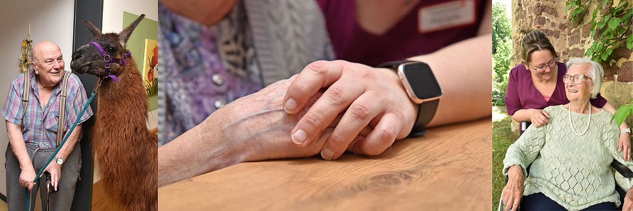 Collage zu Seniorendiensten: Ein älterer Mann mit einem Lama, die Hände einer Pflegekraft halten die Hand eines Senioren, eine Pflegerin betreut eine Seniorin im Rollstuhl.