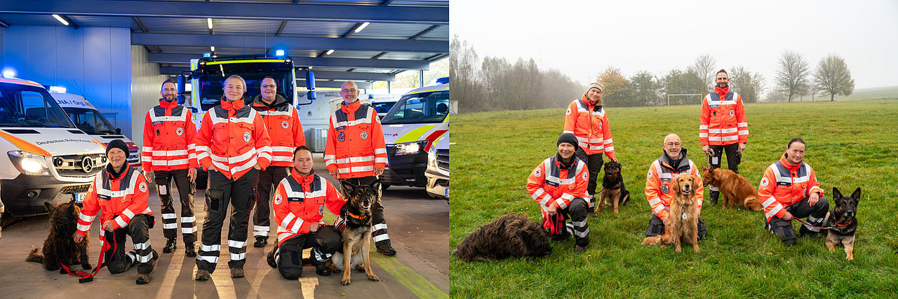 Zwei Fotos der Rettungshundestaffel des Deutschen Roten Kreuzes.  Links (Innenaufnahme): Eine Gruppe von sechs Rettungskräften in orange-weißen Einsatzjacken stehen oder knien in einer Fahrzeughalle vor Einsatzfahrzeugen (mit Blaulicht). Zwei Rettungshunde in verschiedenen Rassen (unter anderem Schäferhund-Mischlinge) sitzen oder liegen neben ihren Hundeführern.  Rechts (Außenaufnahme): Dieselbe Gruppe von fünf Rettungskräften und ihren Hunden posieren auf einer nebligen, grünen Wiese. Alle Personen und Hunde schauen in die Kamera. Die Rettungskräfte tragen orangefarbene Kleidung mit reflektierenden Streifen und DRK-Emblemen.