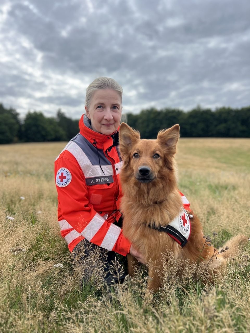 Eine Frau (Rettungskraft mit dem Namensschild "A. Steinig") kniet in orange-grauer Einsatzkleidung des Deutschen Roten Kreuzes (DRK) auf einer trockenen, grasbewachsenen Wiese. Sie umarmt einen mittelgroßen, goldbraunen Harzer Fuchs Rettungshund mit abstehenden Ohren. Der Hund trägt ein Geschirr mit dem Roten Kreuz und blickt direkt in die Kamera, ebenso wie die Hundeführerin. Im Hintergrund ist ein Waldrand unter einem bewölkten Himmel zu sehen.