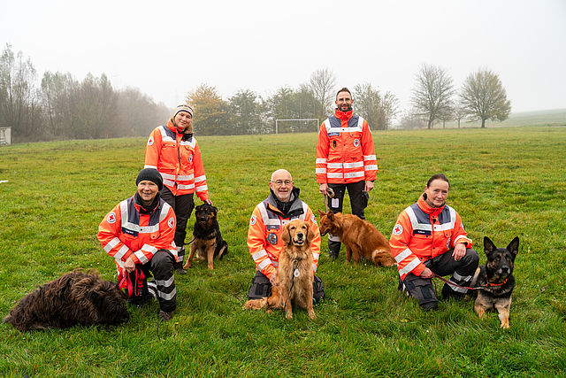 Ein Gruppenfoto von fünf Mitgliedern der DRK-Rettungshundestaffel, die gemeinsam mit ihren sechs Hunden auf einer grünen Wiese posieren. Alle Einsatzkräfte tragen die offizielle, leuchtend orangefarbene Einsatzkleidung mit Reflektoren und dem DRK-Logo. Die Gruppe ist über die Wiese verteilt: Drei Personen knien vorn bei ihren Hunden, zwei stehen leicht versetzt dahinter. Bei den Hunden handelt es sich um verschiedene Rassen, darunter Deutsche Schäferhunde, ein Golden Retriever und ein dunkler, lockiger Hund. Im Hintergrund ist eine neblige Landschaft mit kahlen Bäumen und einem Fußballtor zu sehen. Das Bild vermittelt einen starken Zusammenhalt und Teamgeist.